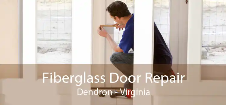 Fiberglass Door Repair Dendron - Virginia