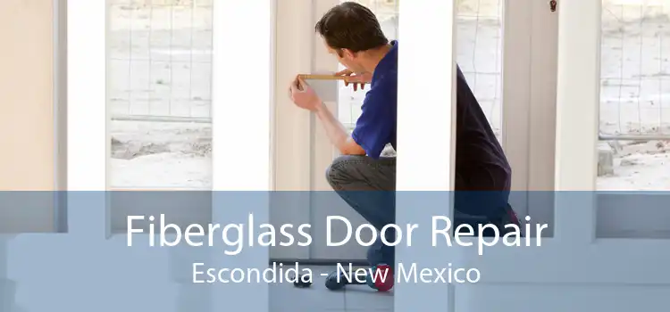 Fiberglass Door Repair Escondida - New Mexico
