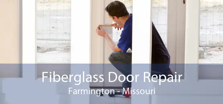 Fiberglass Door Repair Farmington - Missouri