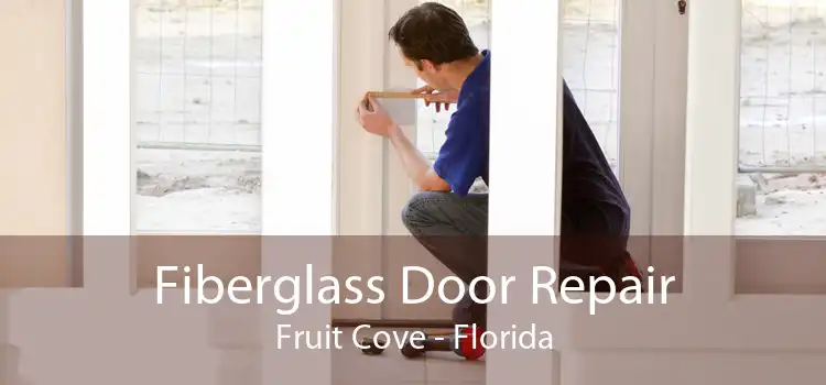 Fiberglass Door Repair Fruit Cove - Florida
