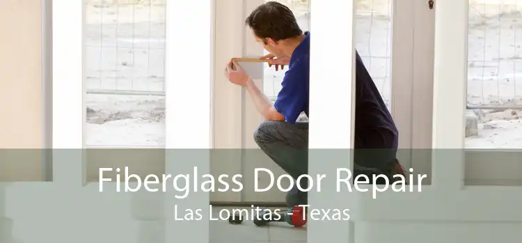 Fiberglass Door Repair Las Lomitas - Texas