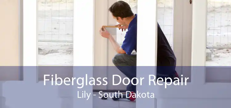 Fiberglass Door Repair Lily - South Dakota