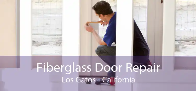 Fiberglass Door Repair Los Gatos - California