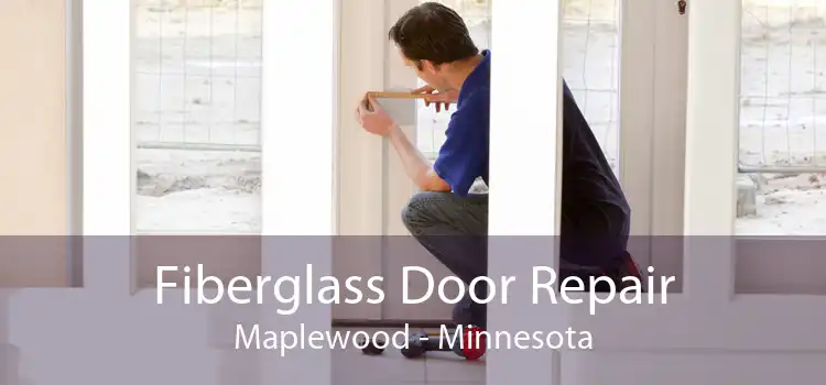 Fiberglass Door Repair Maplewood - Minnesota