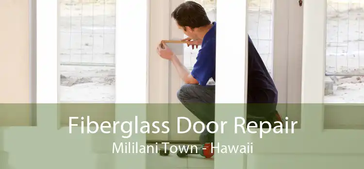 Fiberglass Door Repair Mililani Town - Hawaii