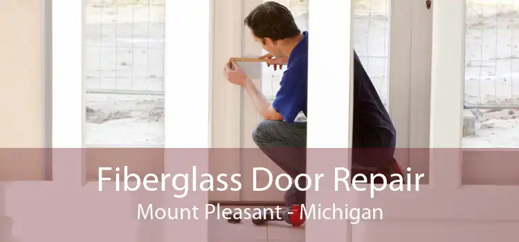 Fiberglass Door Repair Mount Pleasant - Michigan