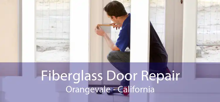 Fiberglass Door Repair Orangevale - California