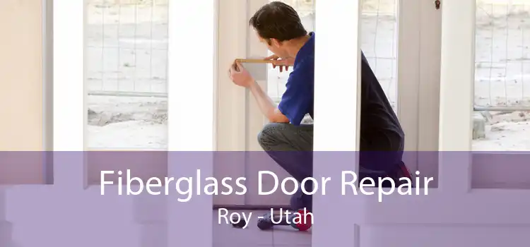 Fiberglass Door Repair Roy - Utah