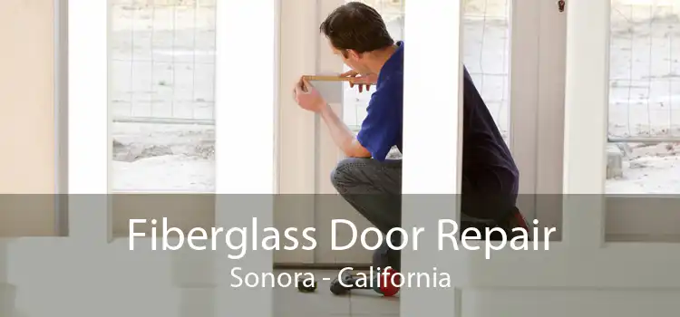 Fiberglass Door Repair Sonora - California