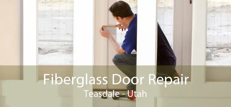 Fiberglass Door Repair Teasdale - Utah