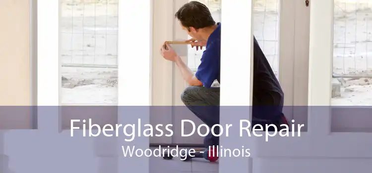 Fiberglass Door Repair Woodridge - Illinois