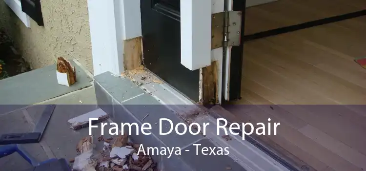Frame Door Repair Amaya - Texas