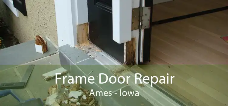 Frame Door Repair Ames - Iowa