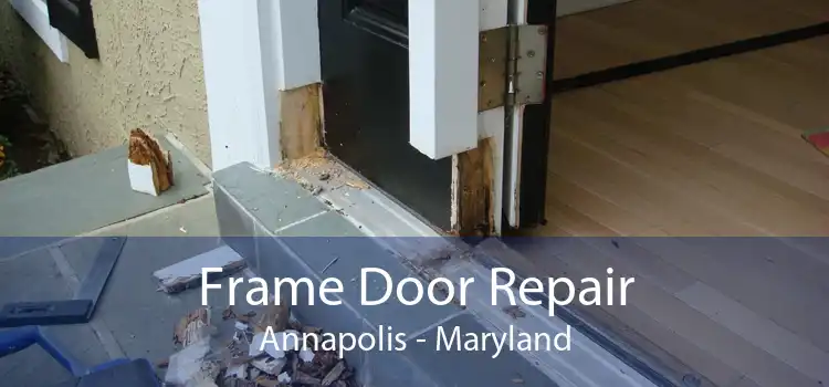 Frame Door Repair Annapolis - Maryland