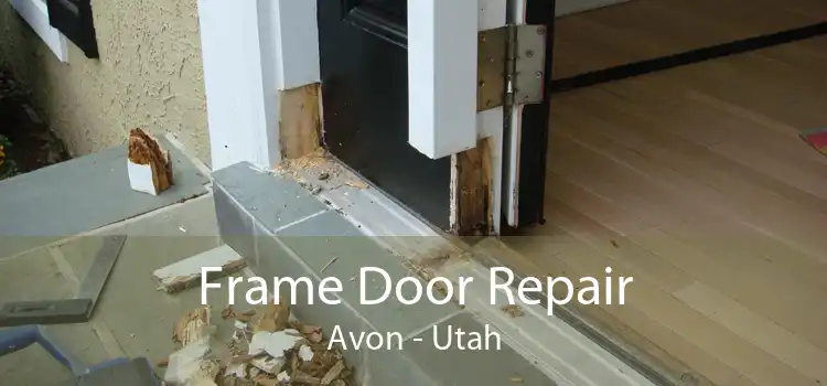 Frame Door Repair Avon - Utah