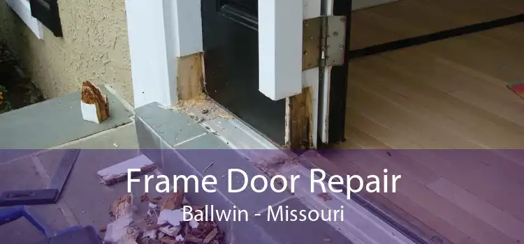 Frame Door Repair Ballwin - Missouri