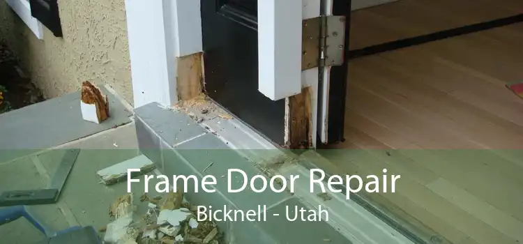 Frame Door Repair Bicknell - Utah