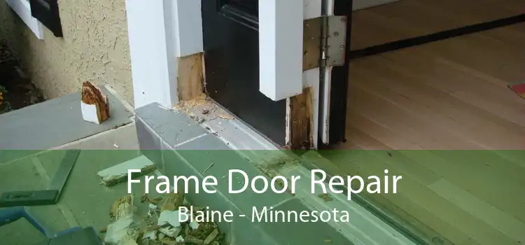 Frame Door Repair Blaine - Minnesota