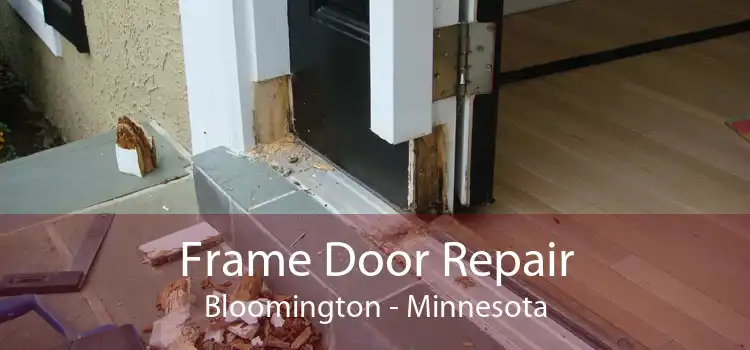 Frame Door Repair Bloomington - Minnesota