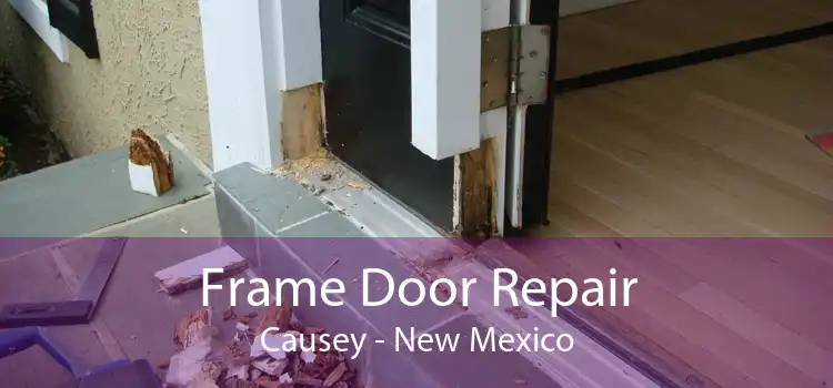Frame Door Repair Causey - New Mexico