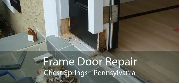 Frame Door Repair Chest Springs - Pennsylvania