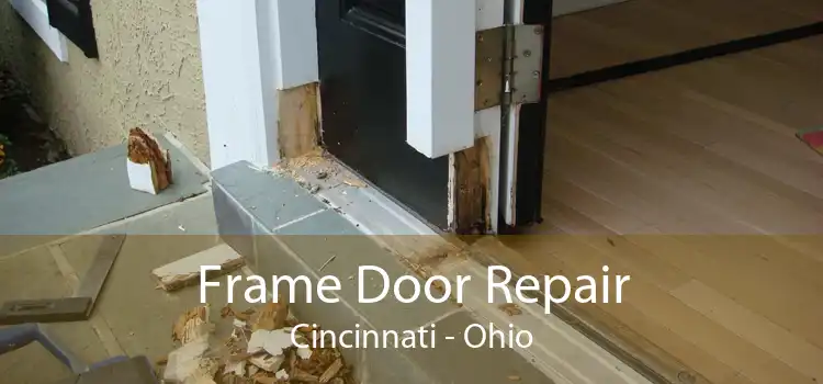 Frame Door Repair Cincinnati - Ohio