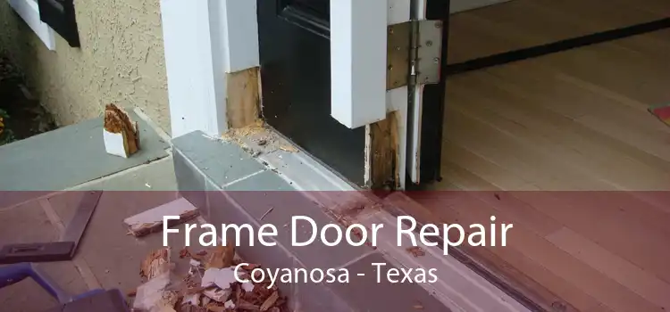 Frame Door Repair Coyanosa - Texas