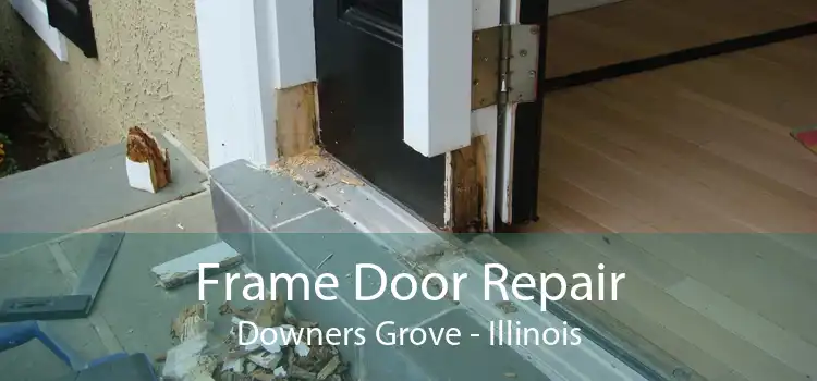 Frame Door Repair Downers Grove - Illinois