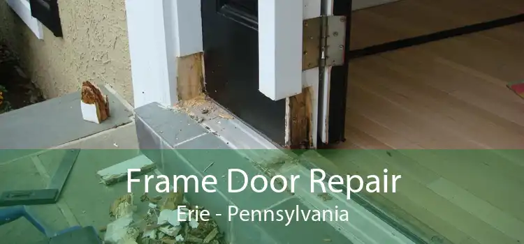 Frame Door Repair Erie - Pennsylvania
