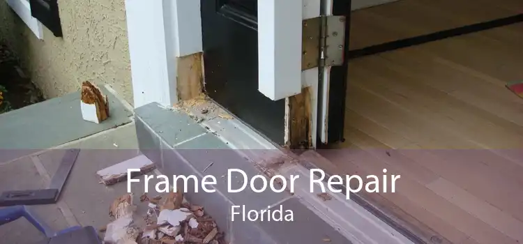 Frame Door Repair Florida