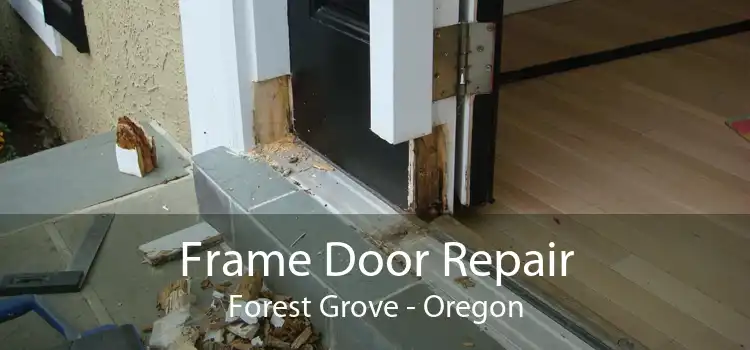 Frame Door Repair Forest Grove - Oregon