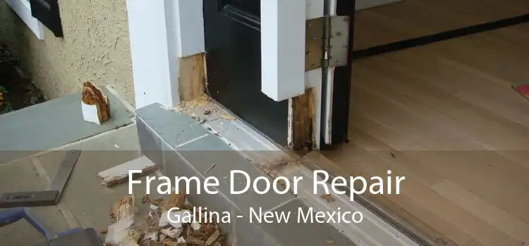 Frame Door Repair Gallina - New Mexico