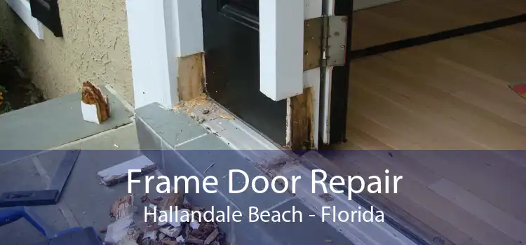 Frame Door Repair Hallandale Beach - Florida