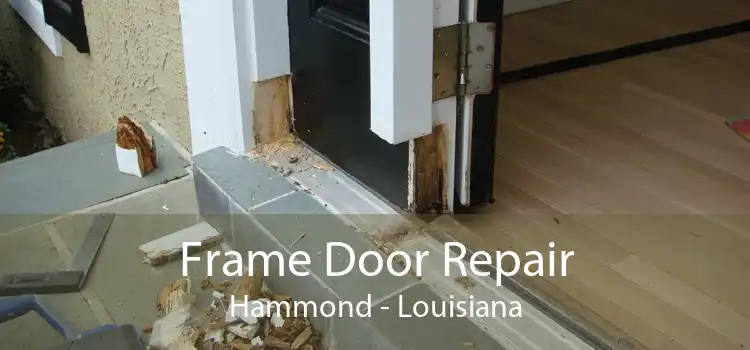 Frame Door Repair Hammond - Louisiana