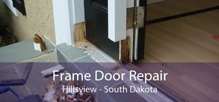 Frame Door Repair Hillsview - South Dakota