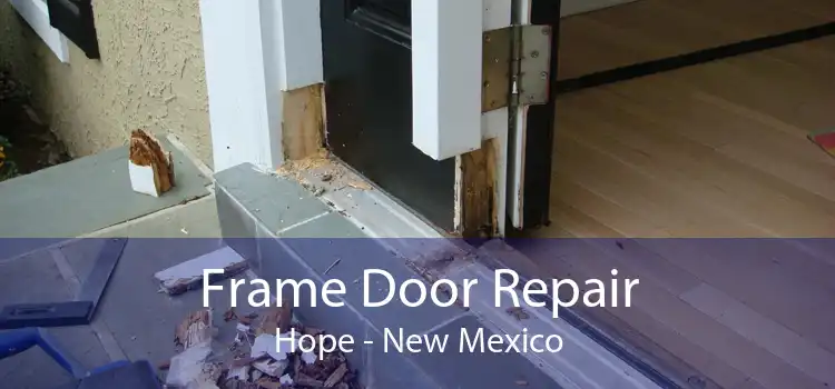 Frame Door Repair Hope - New Mexico