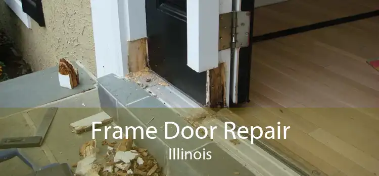 Frame Door Repair Illinois