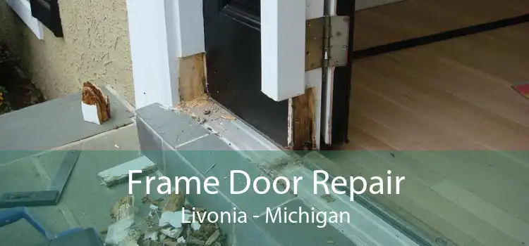 Frame Door Repair Livonia - Michigan