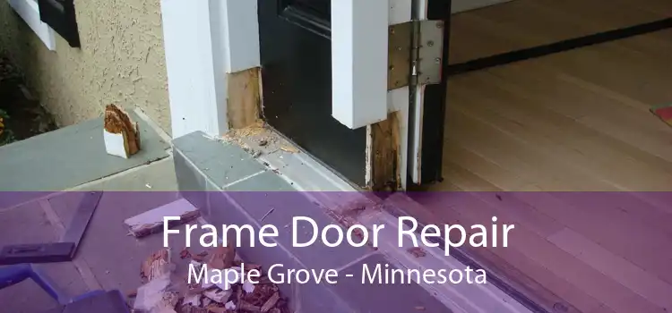 Frame Door Repair Maple Grove - Minnesota