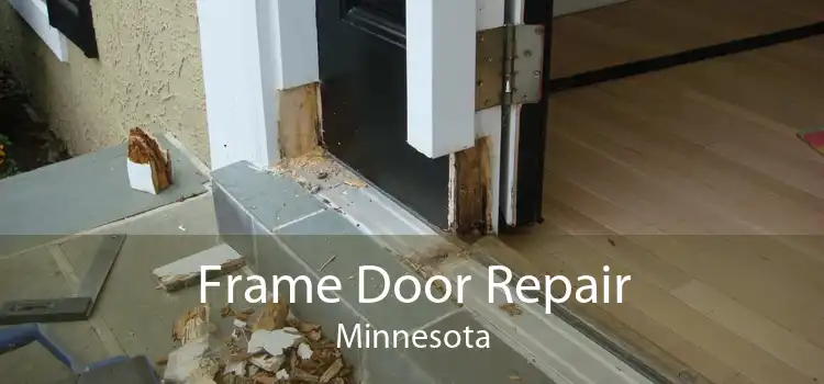 Frame Door Repair Minnesota