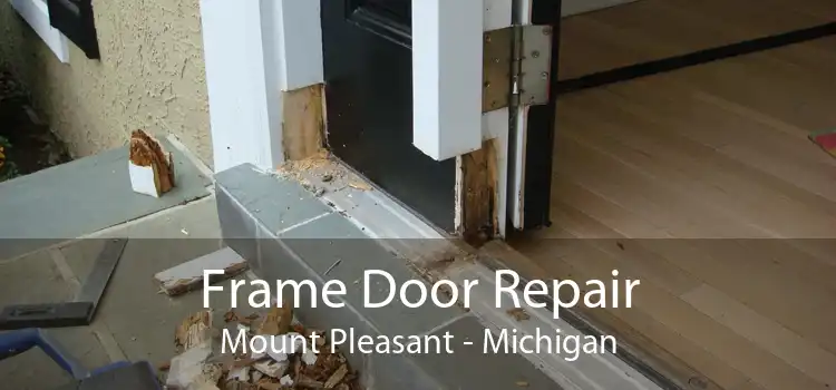 Frame Door Repair Mount Pleasant - Michigan