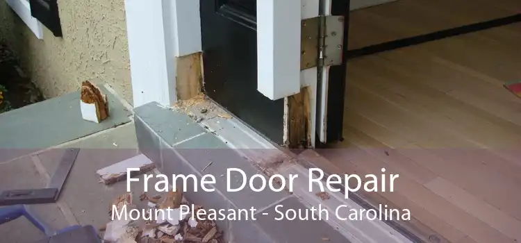 Frame Door Repair Mount Pleasant - South Carolina