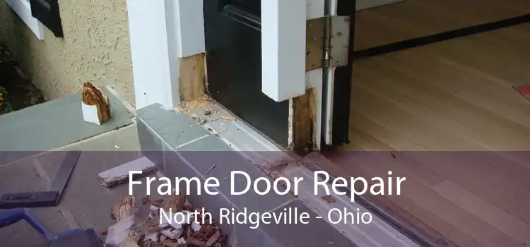 Frame Door Repair North Ridgeville - Ohio