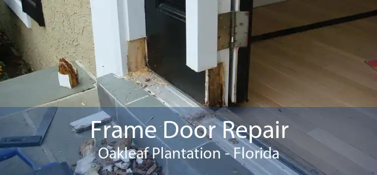 Frame Door Repair Oakleaf Plantation - Florida