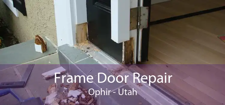 Frame Door Repair Ophir - Utah