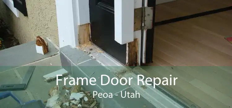 Frame Door Repair Peoa - Utah