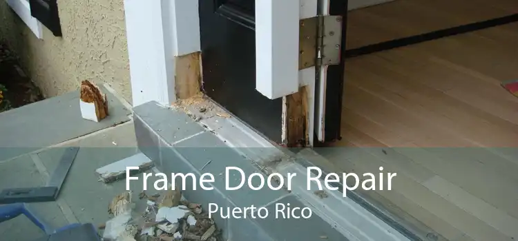 Frame Door Repair Puerto Rico