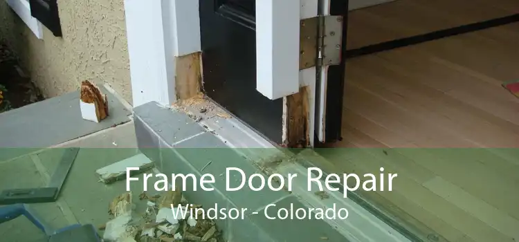 Frame Door Repair Windsor - Colorado