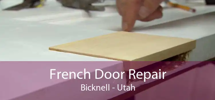 French Door Repair Bicknell - Utah