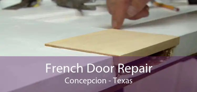 French Door Repair Concepcion - Texas